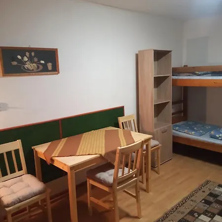 Проживание в семье Mlyn *