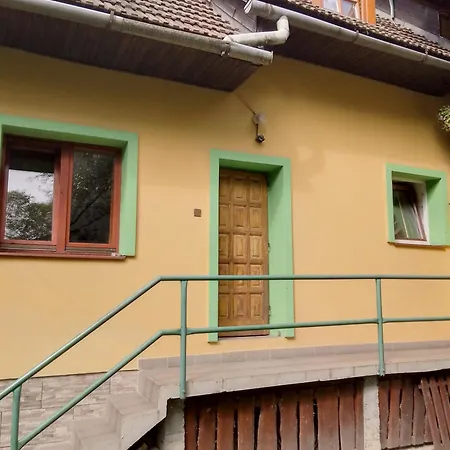 Проживание в семье Mlyn *